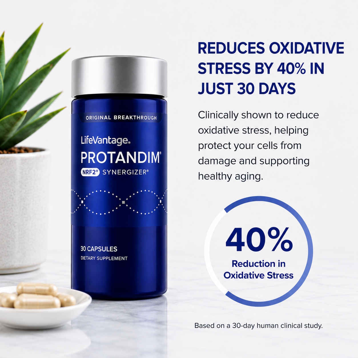 Protandim NRF2 Synergizer – Cellular Health & Healthy Aging Support