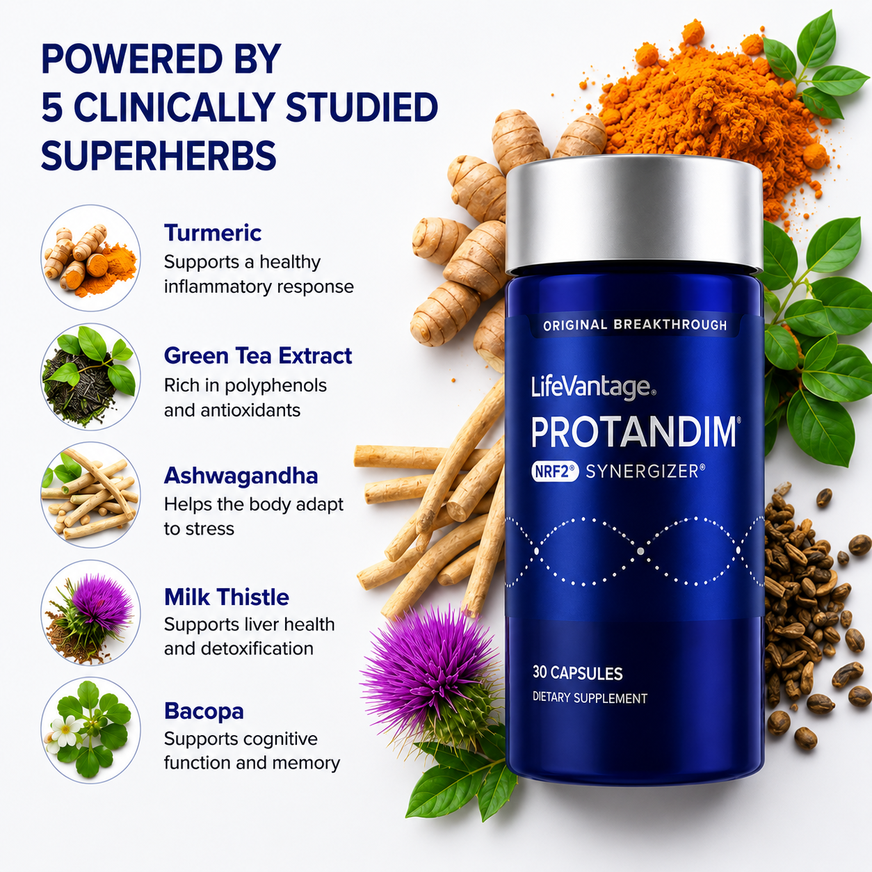 Protandim NRF2 Synergizer – Cellular Health & Healthy Aging Support