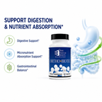 Ortho Biotic probiotic capsules gut health support