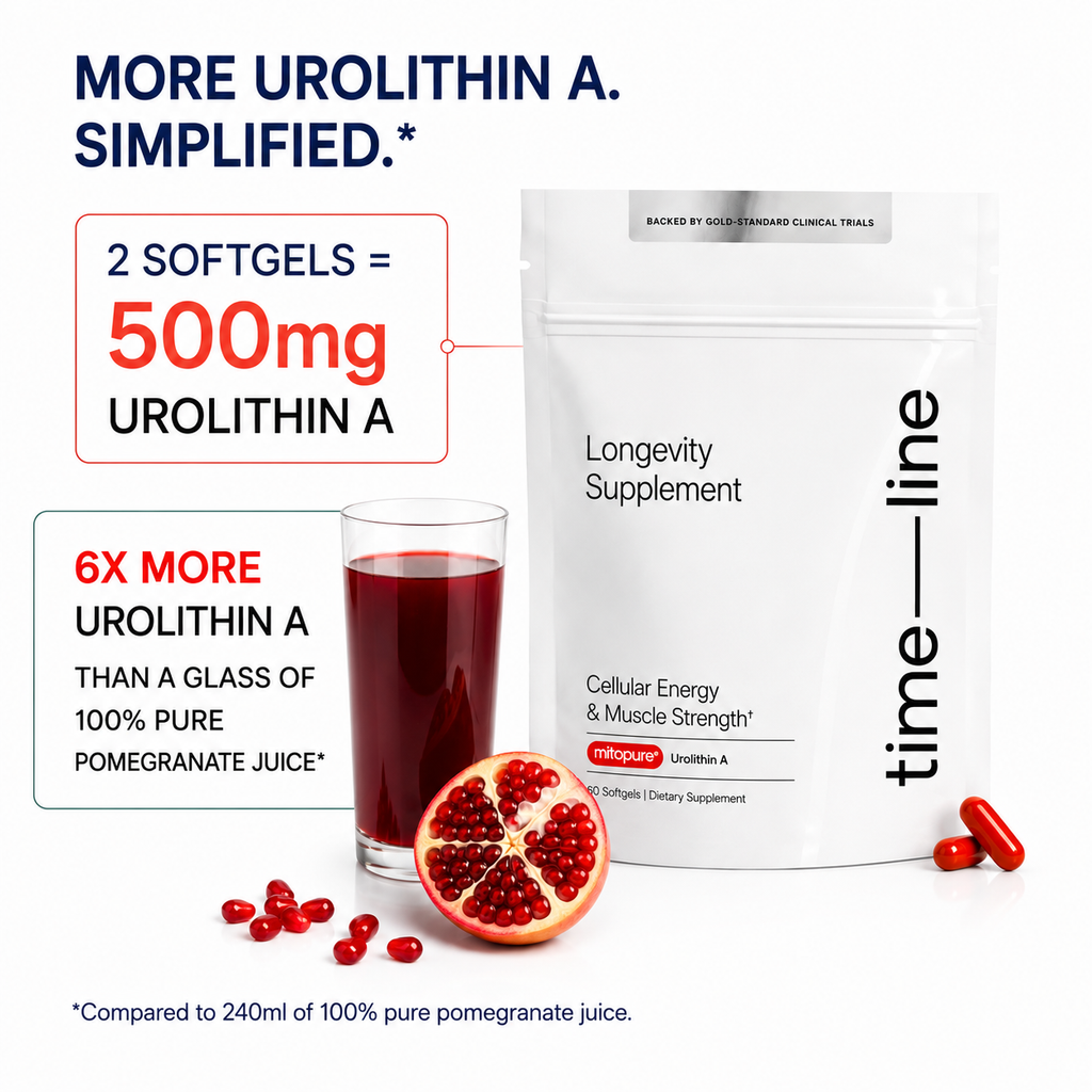 Timeline Mitopure Urolithin A supports cellular energy and mitochondrial health